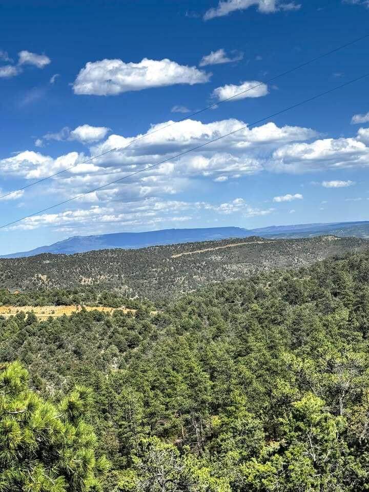11958 Cielo Grande Rd - Photo 1