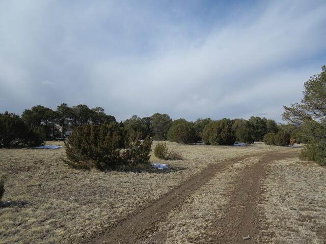 11970 Diamond View Rd - Photo 1