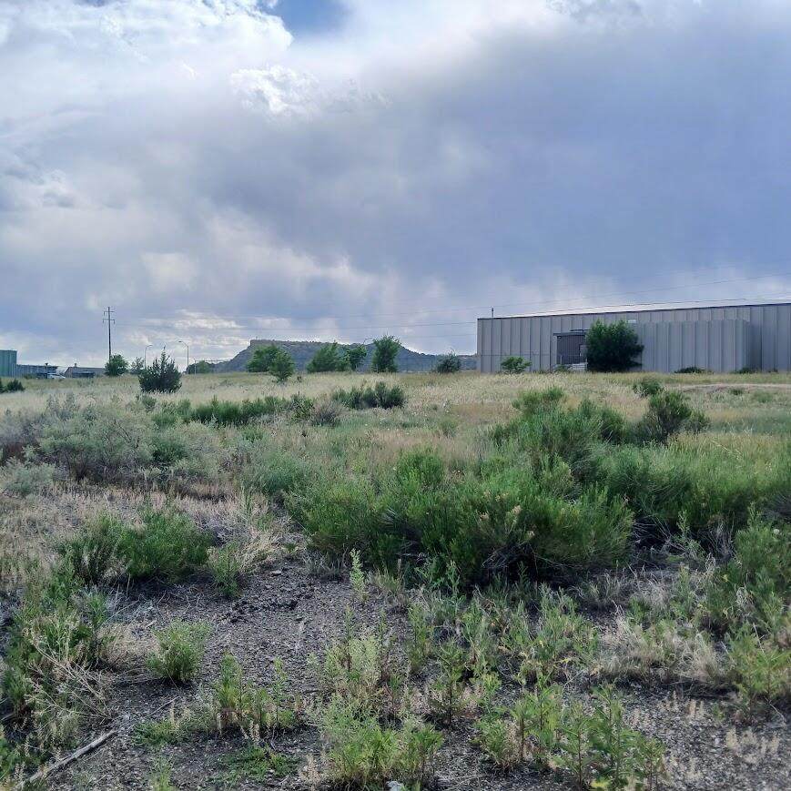 1240 Congress Drive - Photo 1