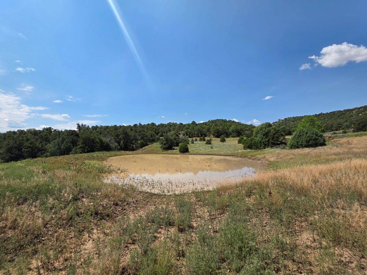 TBD Picketwire Rd - Photo 1