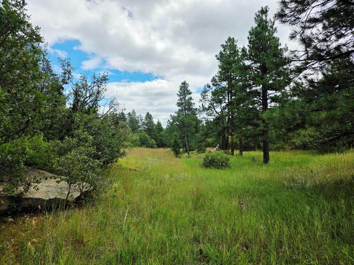 https://bt-photos.global.ssl.fastly.net/spanishpeaks/orig_boomver_1_25-985-2.jpg