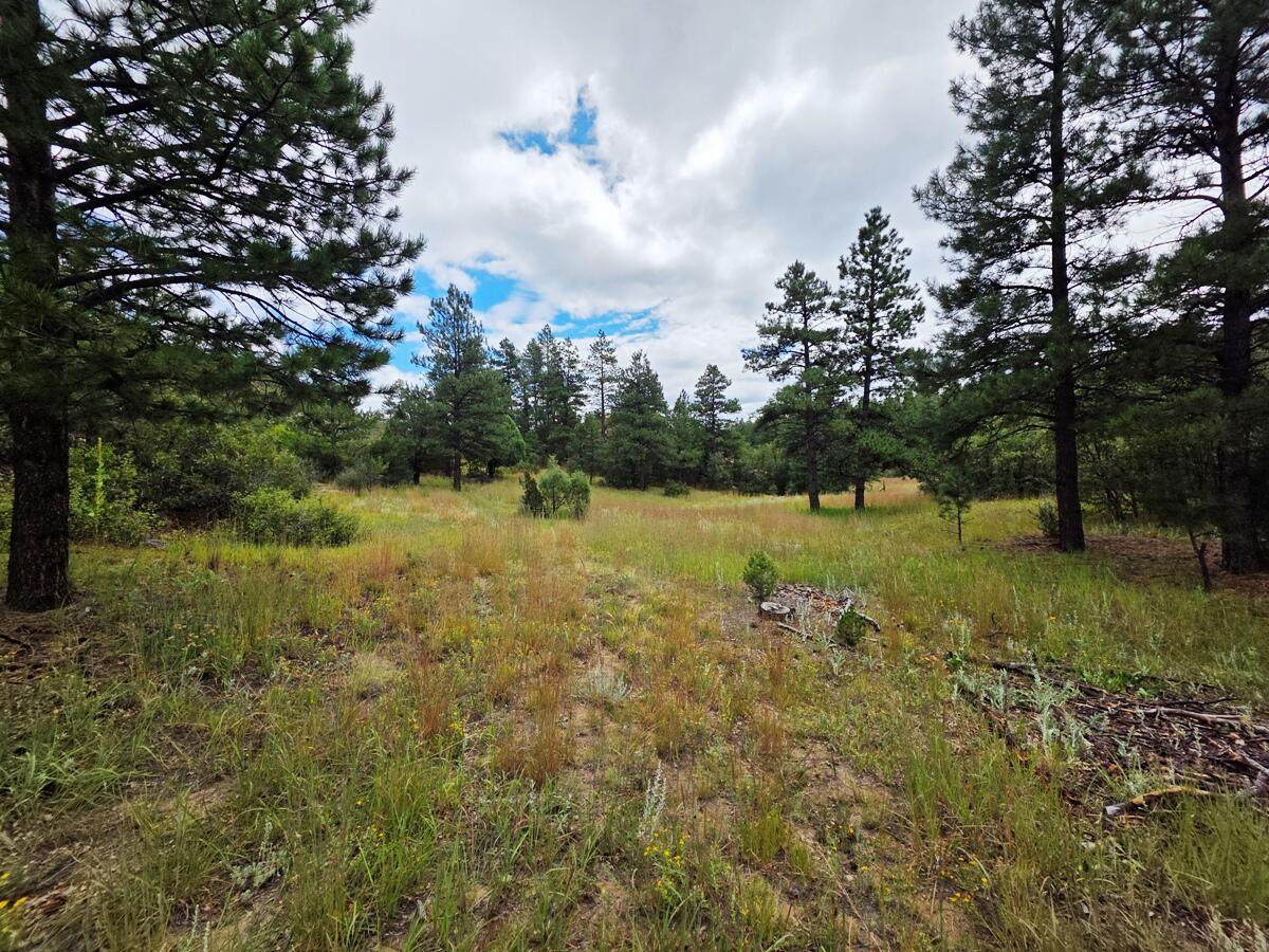 https://bt-photos.global.ssl.fastly.net/spanishpeaks/orig_boomver_1_25-985-2.jpg