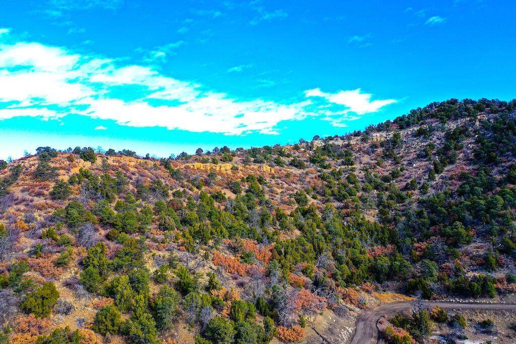 Lot 14 Fishers Peak Ranch - Photo 1