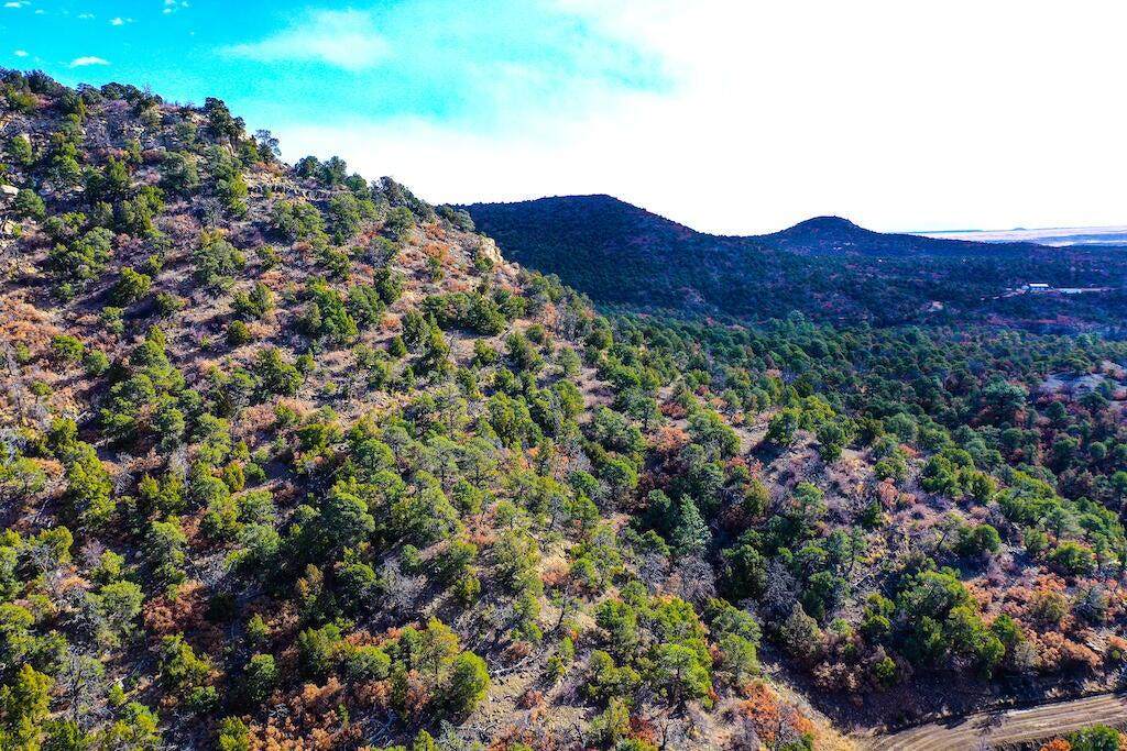 https://bt-photos.global.ssl.fastly.net/spanishpeaks/orig_boomver_1_26-122-2.jpg