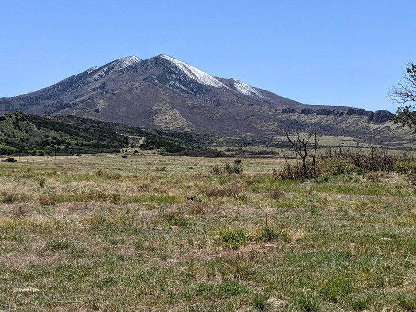 TBD Majors Ranch - Photo 1