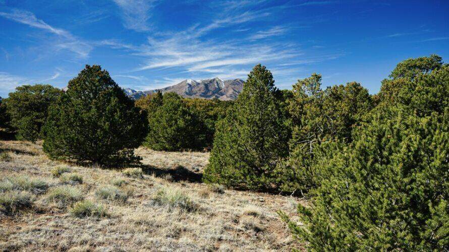 https://bt-photos.global.ssl.fastly.net/spanishpeaks/orig_boomver_1_26-260-2.jpg