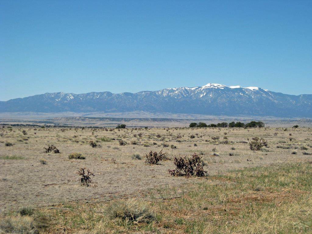  Turkey Ridge Ranch Filing 2 - Photo 1
