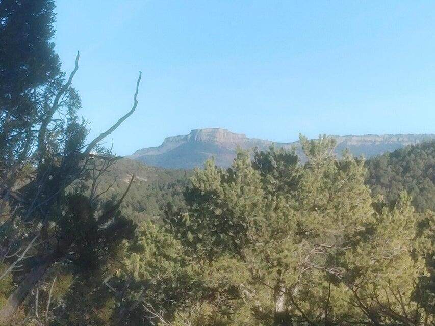 30910 Pavo Canyon Trail - Photo 1