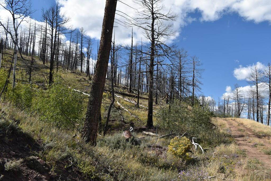 https://bt-photos.global.ssl.fastly.net/spanishpeaks/orig_boomver_1_26-379-2.jpg