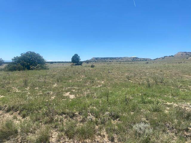 000 Longhorn Ranch Phase-Ii- Blk-9 - Photo 1