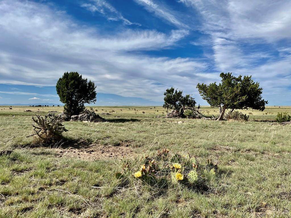 https://bt-photos.global.ssl.fastly.net/spanishpeaks/orig_boomver_1_26-514-2.jpg