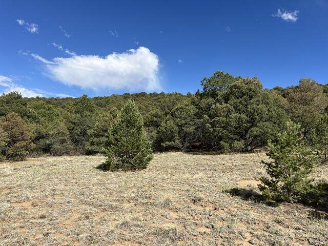 96 River Ridge Ranch - Photo 1