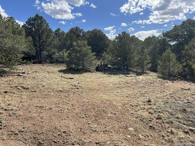https://bt-photos.global.ssl.fastly.net/spanishpeaks/orig_boomver_1_26-517-2.jpg