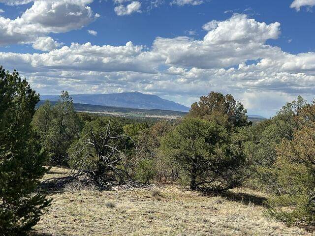 https://bt-photos.global.ssl.fastly.net/spanishpeaks/orig_boomver_1_26-517-2.jpg
