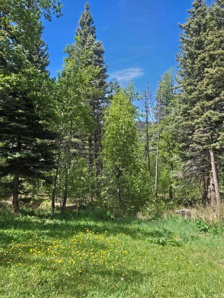 https://bt-photos.global.ssl.fastly.net/spanishpeaks/orig_boomver_1_26-558-2.jpg