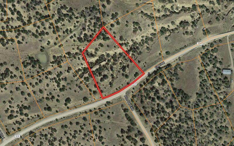 Lot 533 Rio Cucharas - Photo 1