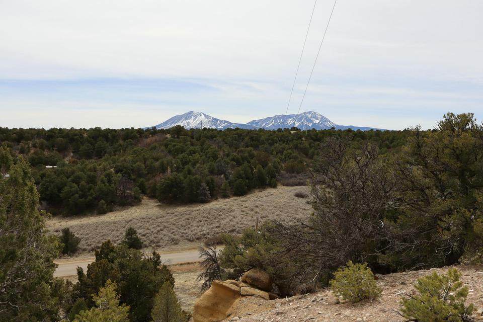 311 Navajo - Photo 1