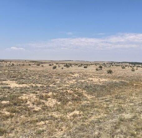 tbd County Rd 93.9 - Photo 1