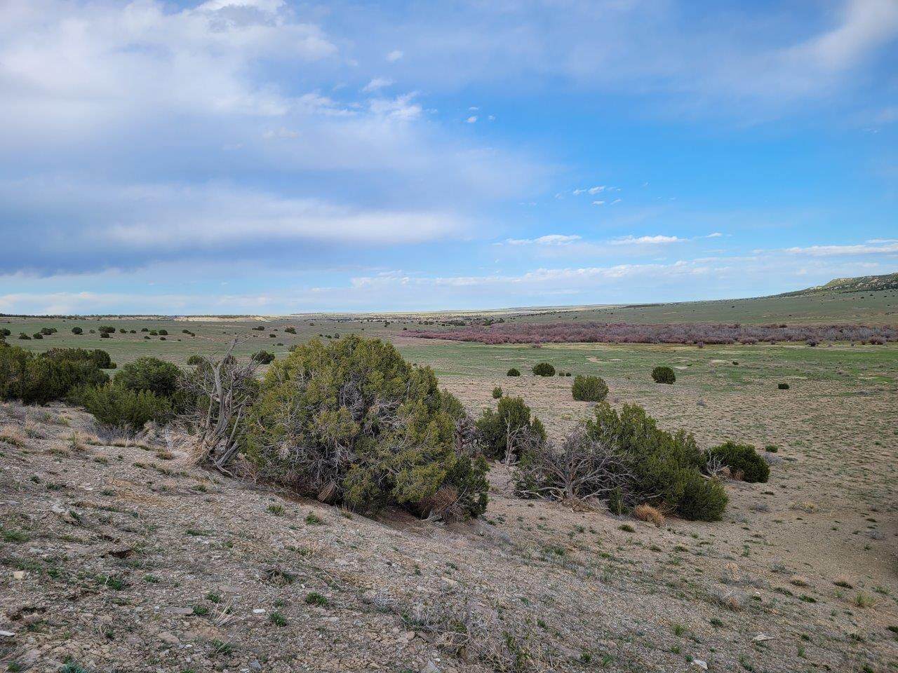 Lot 21 Ghost River Ranch - Photo 1