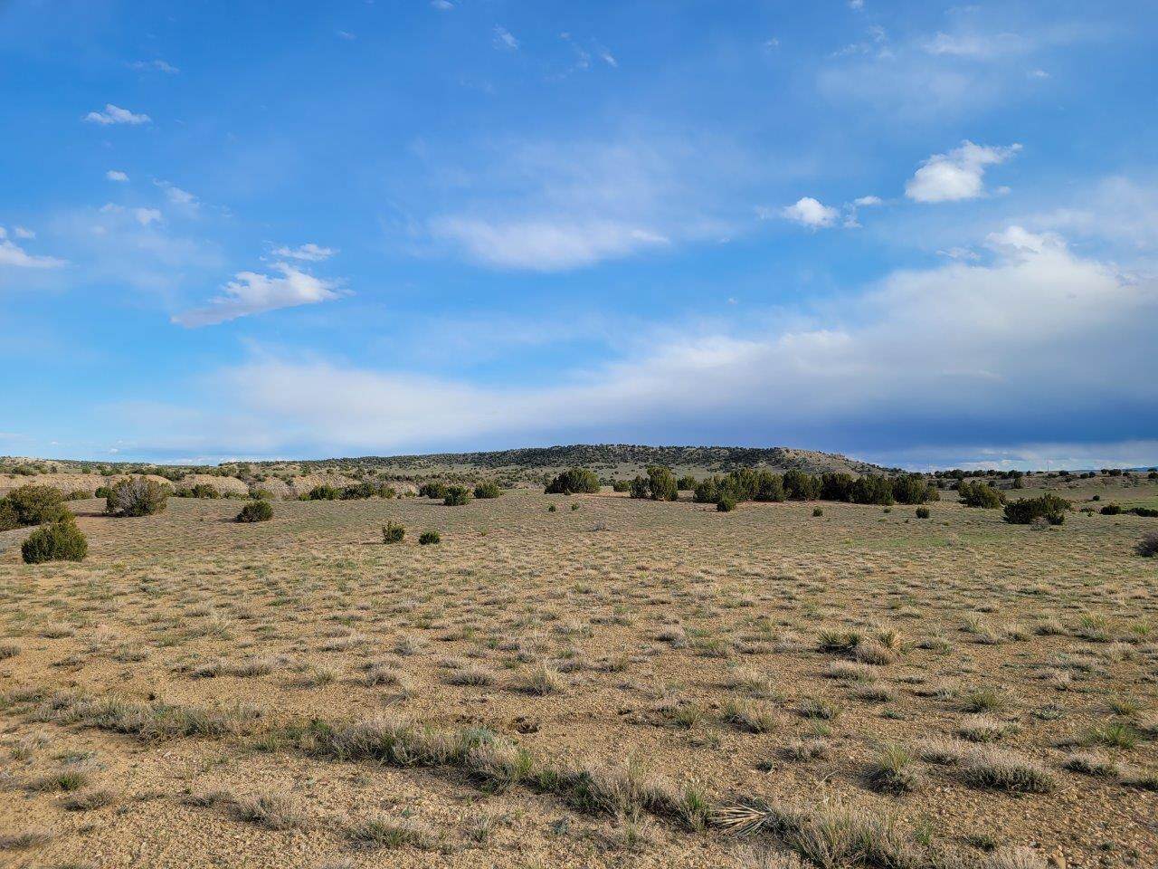 https://bt-photos.global.ssl.fastly.net/spanishpeaks/orig_boomver_1_26-824-2.jpg