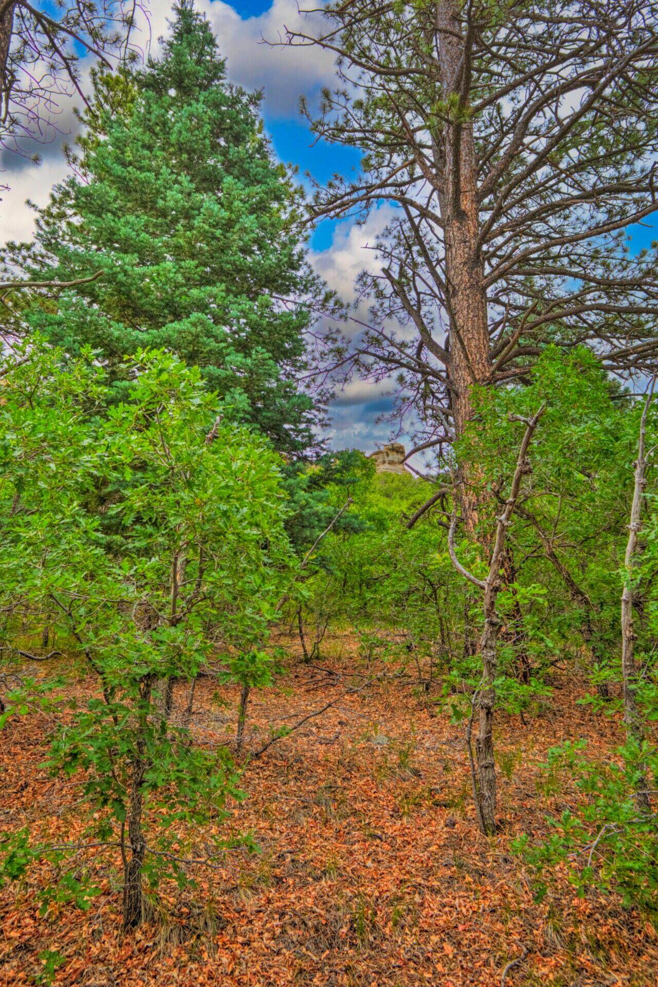 https://bt-photos.global.ssl.fastly.net/spanishpeaks/1280_boomver_1_26-99-2.jpg