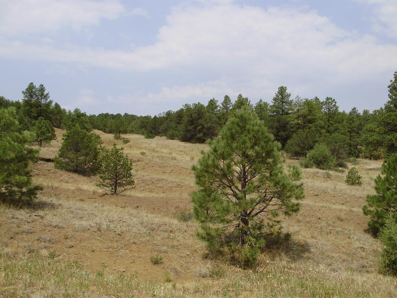 Tbd - Photo 1