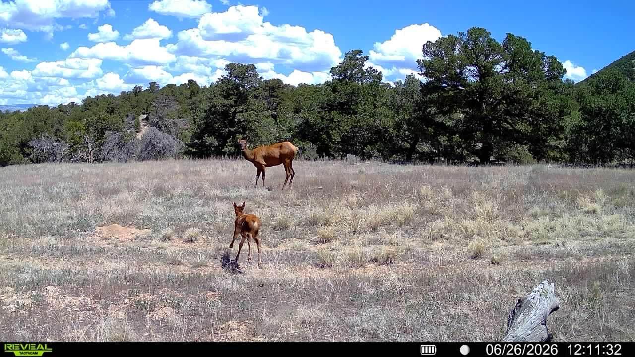 https://bt-photos.global.ssl.fastly.net/spanishpeaks/1280_boomver_1_26-307-2.jpg