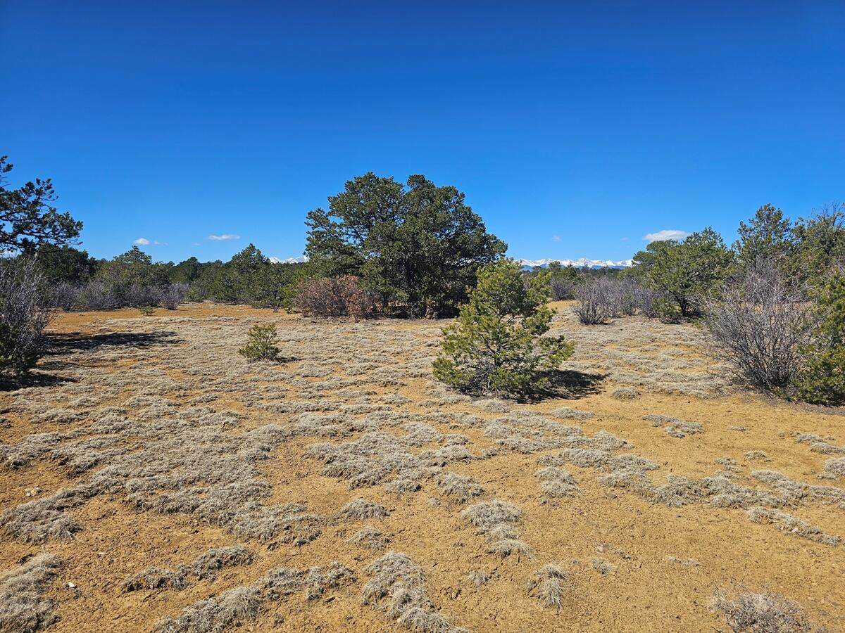 https://bt-photos.global.ssl.fastly.net/spanishpeaks/1280_boomver_2_26-873-2.jpg