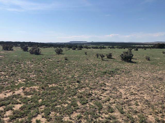 174 Tyrone Hills - Photo 1