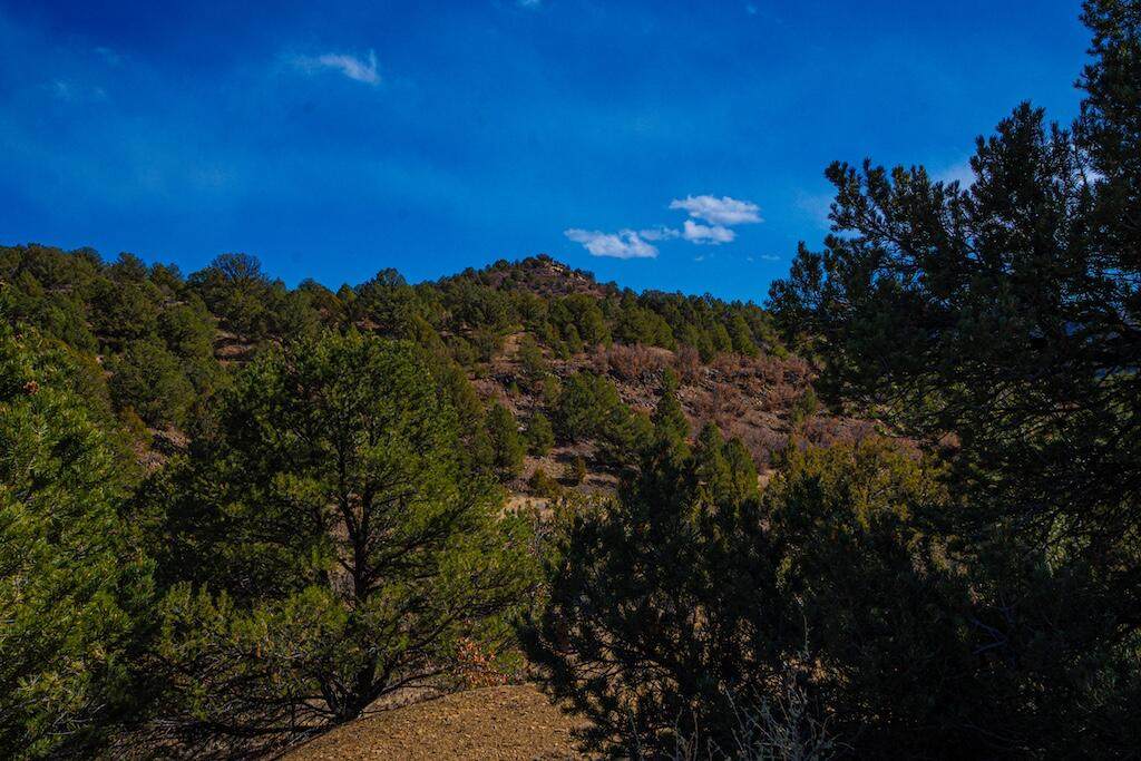 TBD 120 Acres - Photo 1