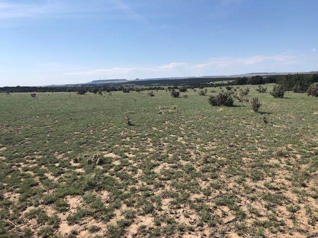 179 Tyrone Hills - Photo 1