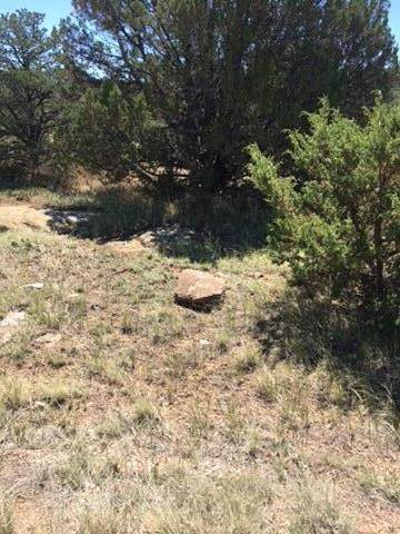 Lot 919 Los Vaqueros Circle - Photo 1