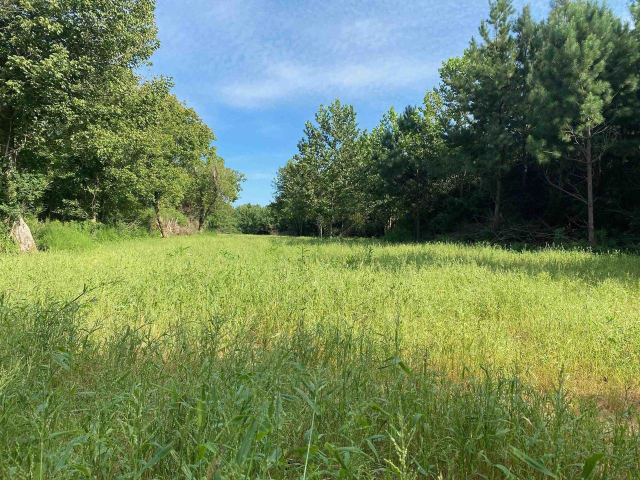 Sizemore Rd - Photo 1