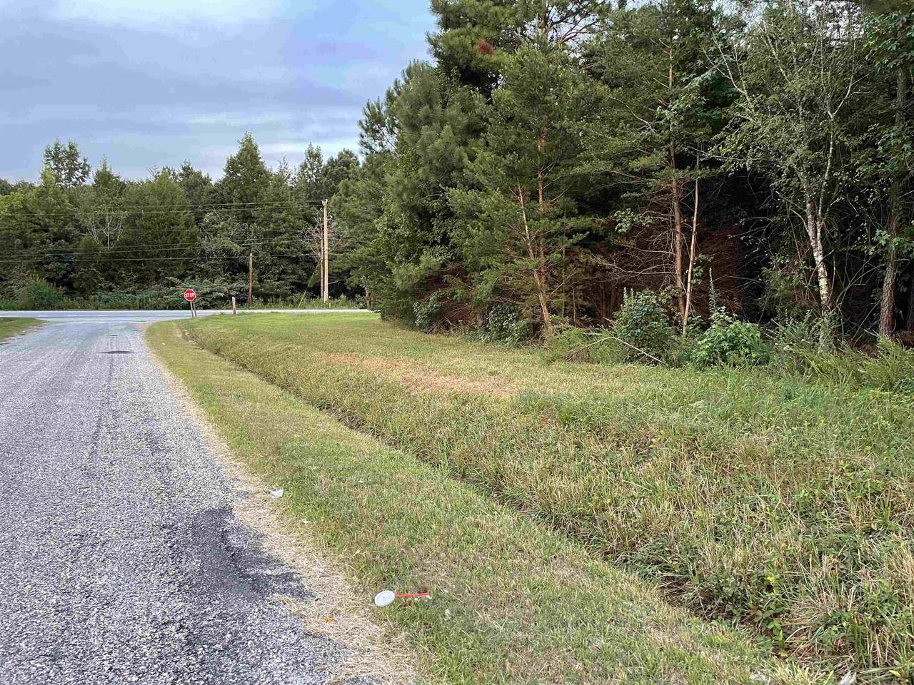 0 Sand Clay Rd Lot 2 - Photo 1