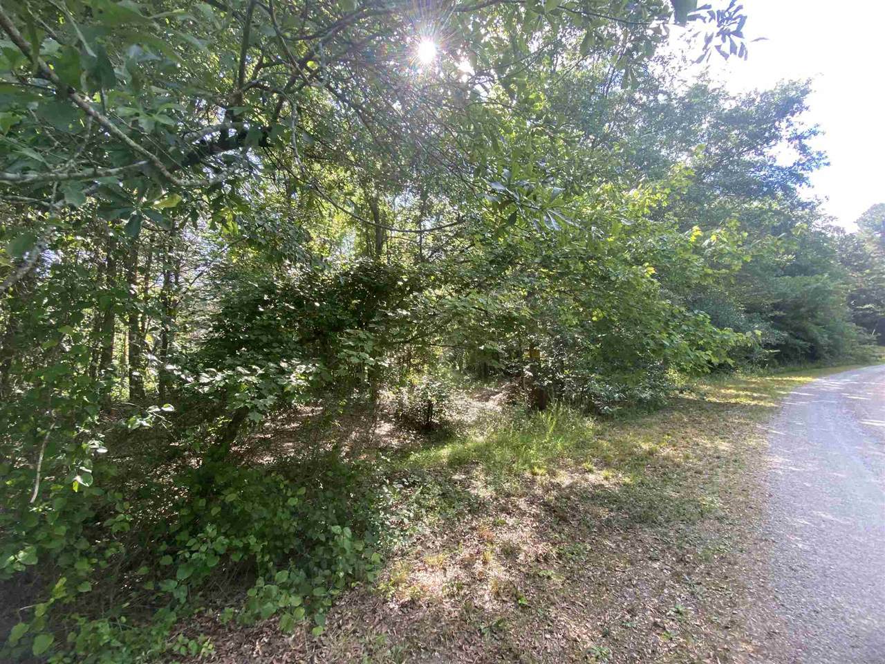 369 Russell Rd - Photo 1