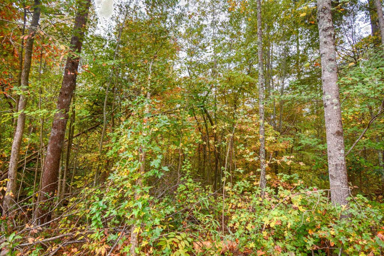 160 Lockman Street - Photo 1