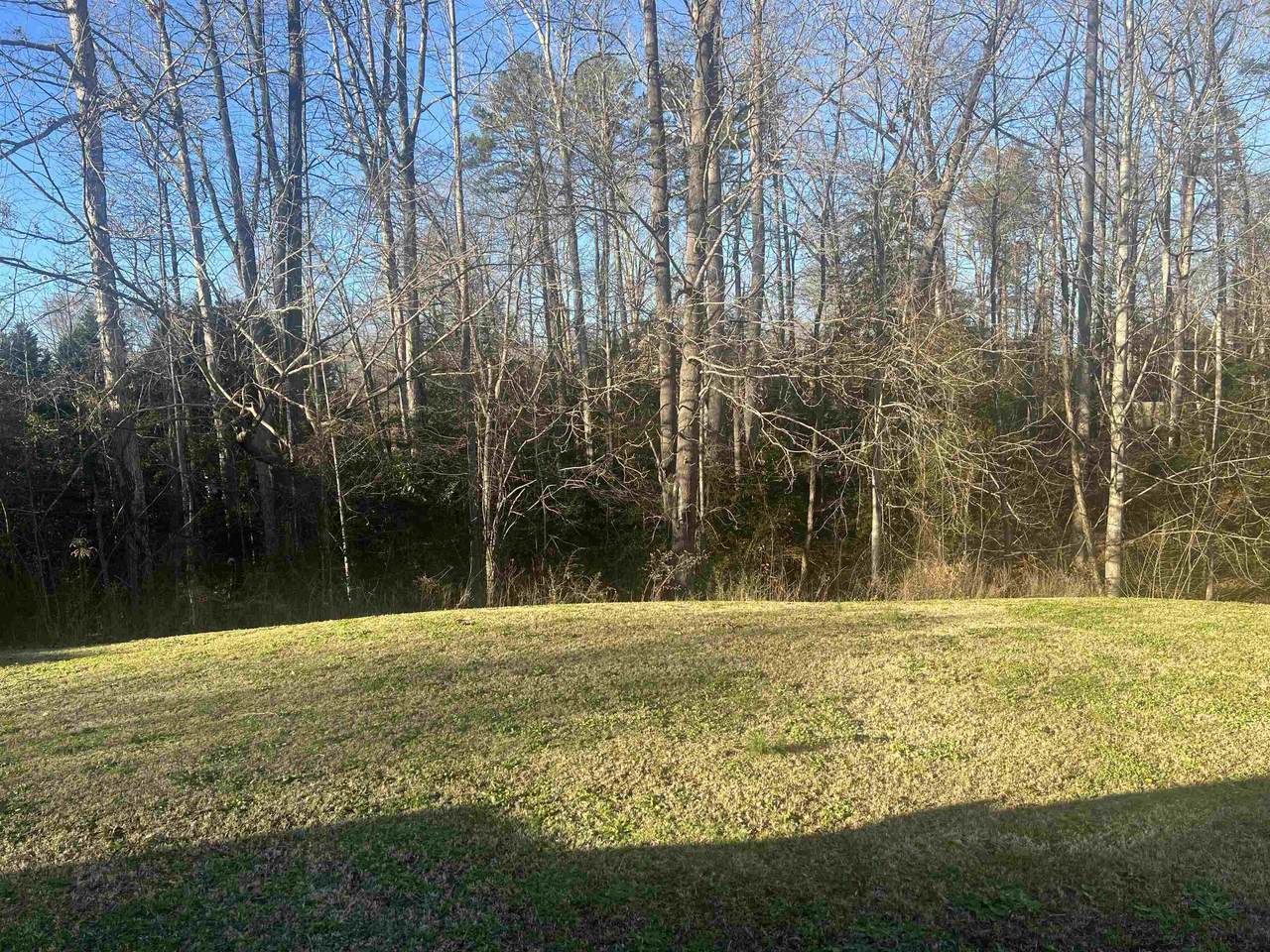 740 Bent Hollow Ct - Photo 1