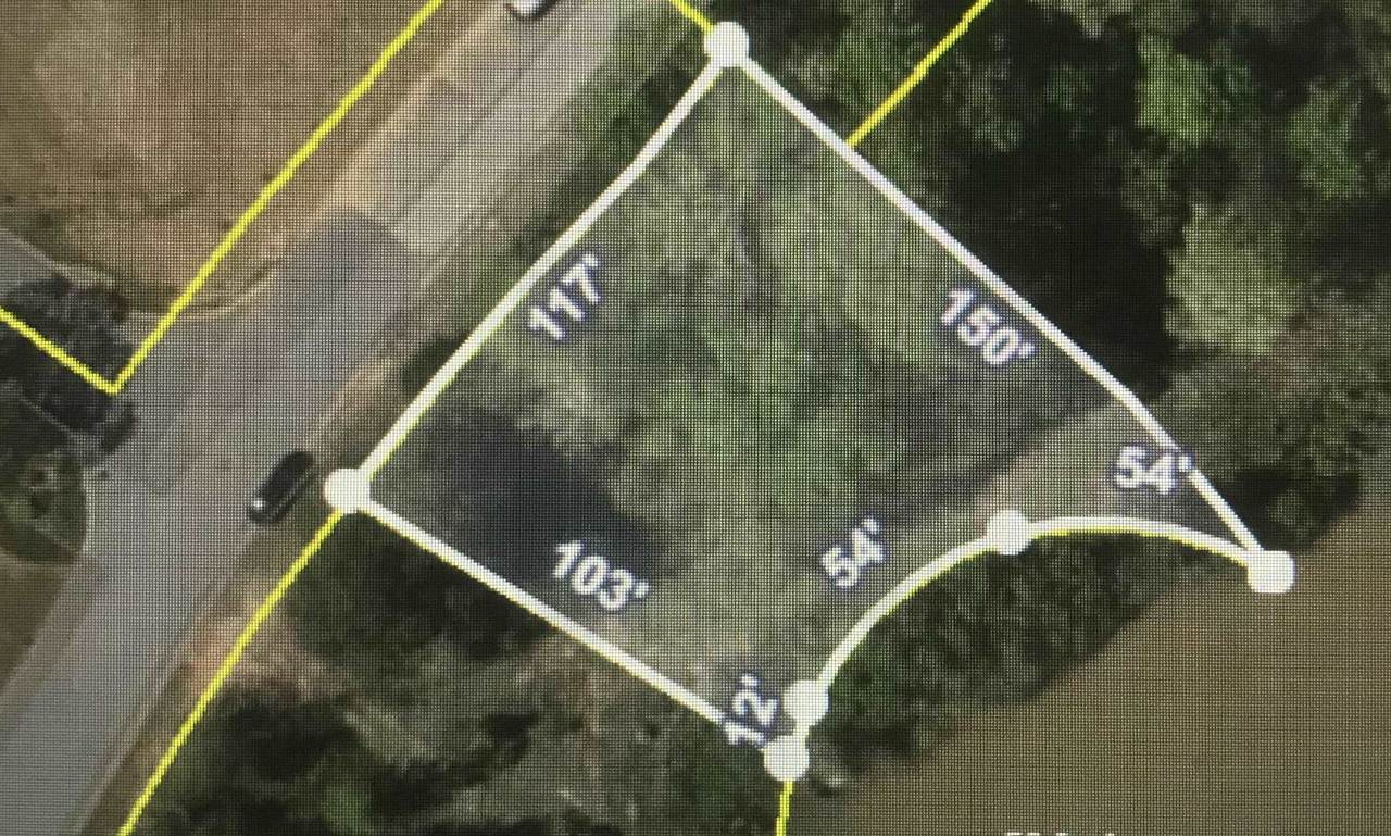 206 Butternut Road - Photo 1