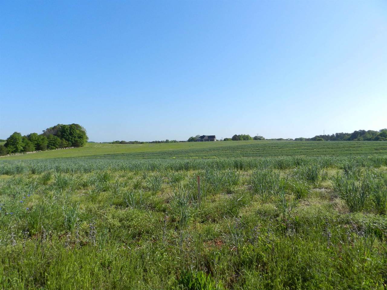 Tract 2A Grassy Pond Creek Rd - Photo 1