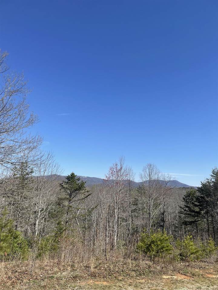 52 Packforest Road - Photo 1