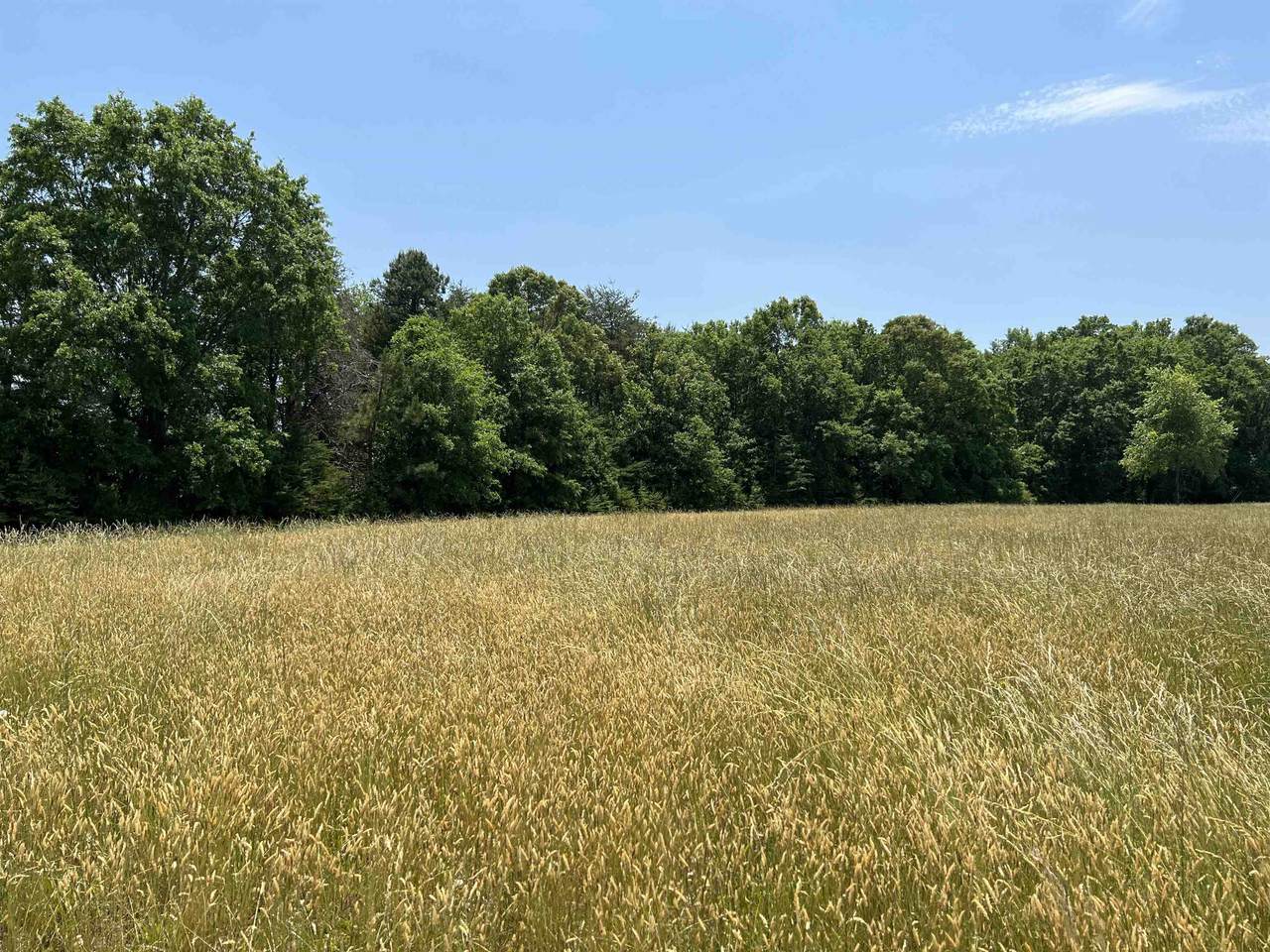 182 Cook Rd - Photo 1
