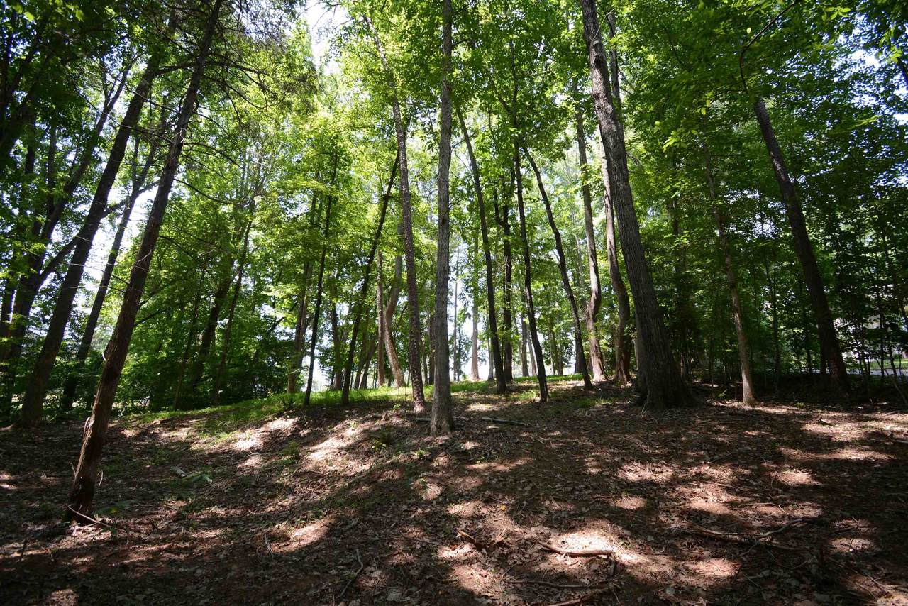 146 Pinewood Drive - Photo 1
