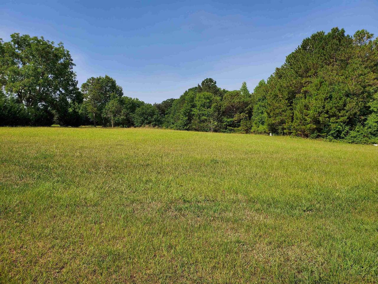2153 Spartanburg Hwy - Photo 1