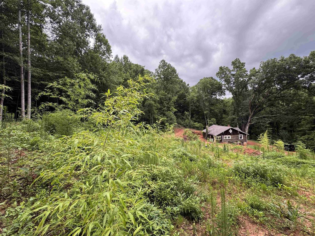 8875 N Tigerville Road - Photo 1