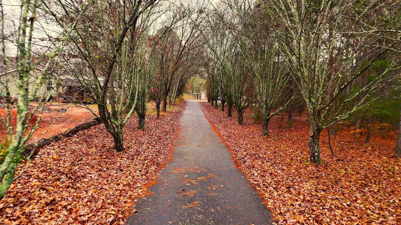 190 Clement Road - Photo 1