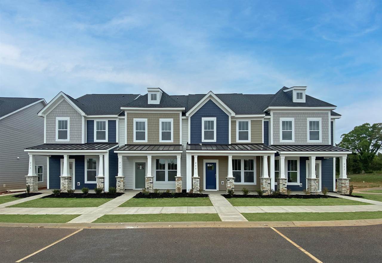 239 Dalmatian Drive - Photo 1