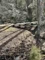 634 Crowe Creek Trail - Photo 8