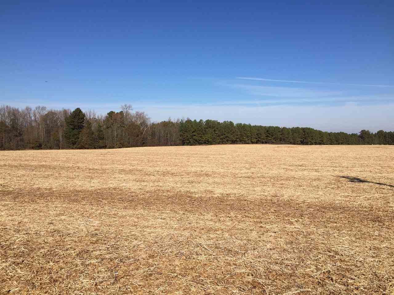 830 Chesnee Hwy - Photo 1