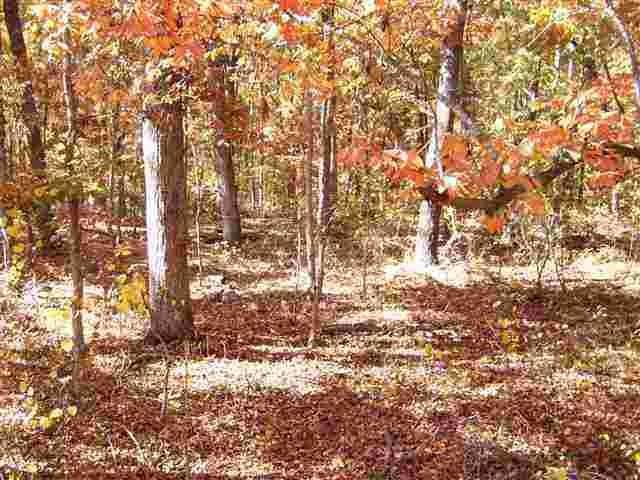 0 Fagan Dr. - Photo 1