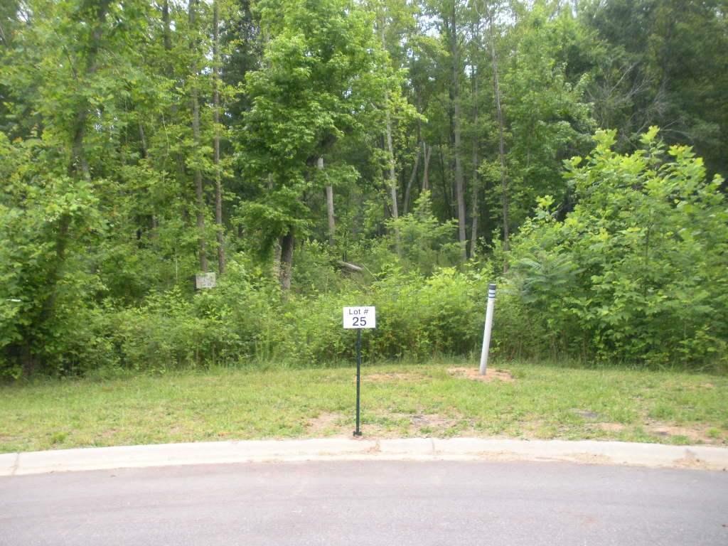 295 Cane Creek Way (Lot 25) - Photo 1